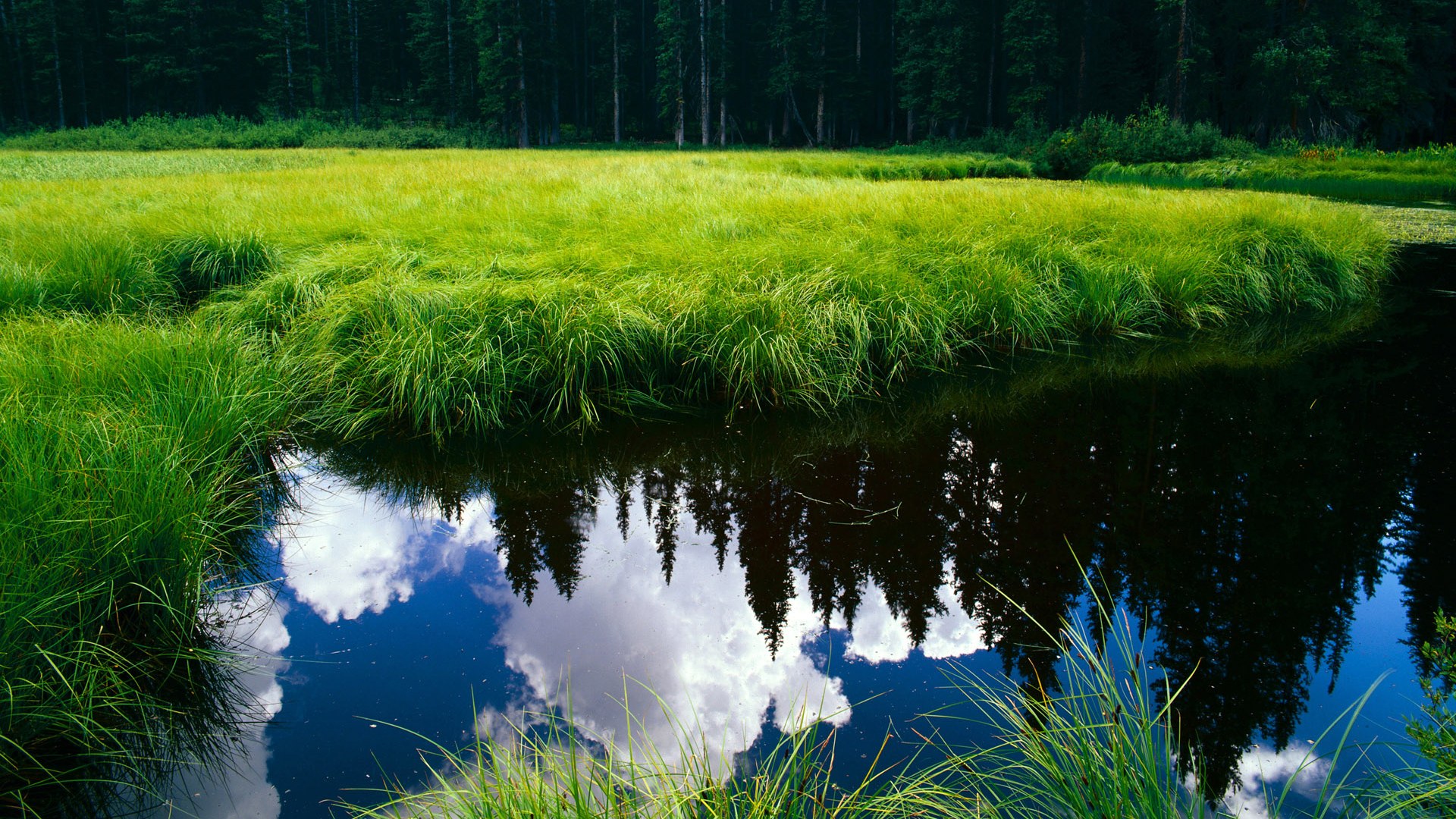 开云娱乐官网-_桥牌世界系列赛：智力对决引爆精彩_，桥牌比赛现场