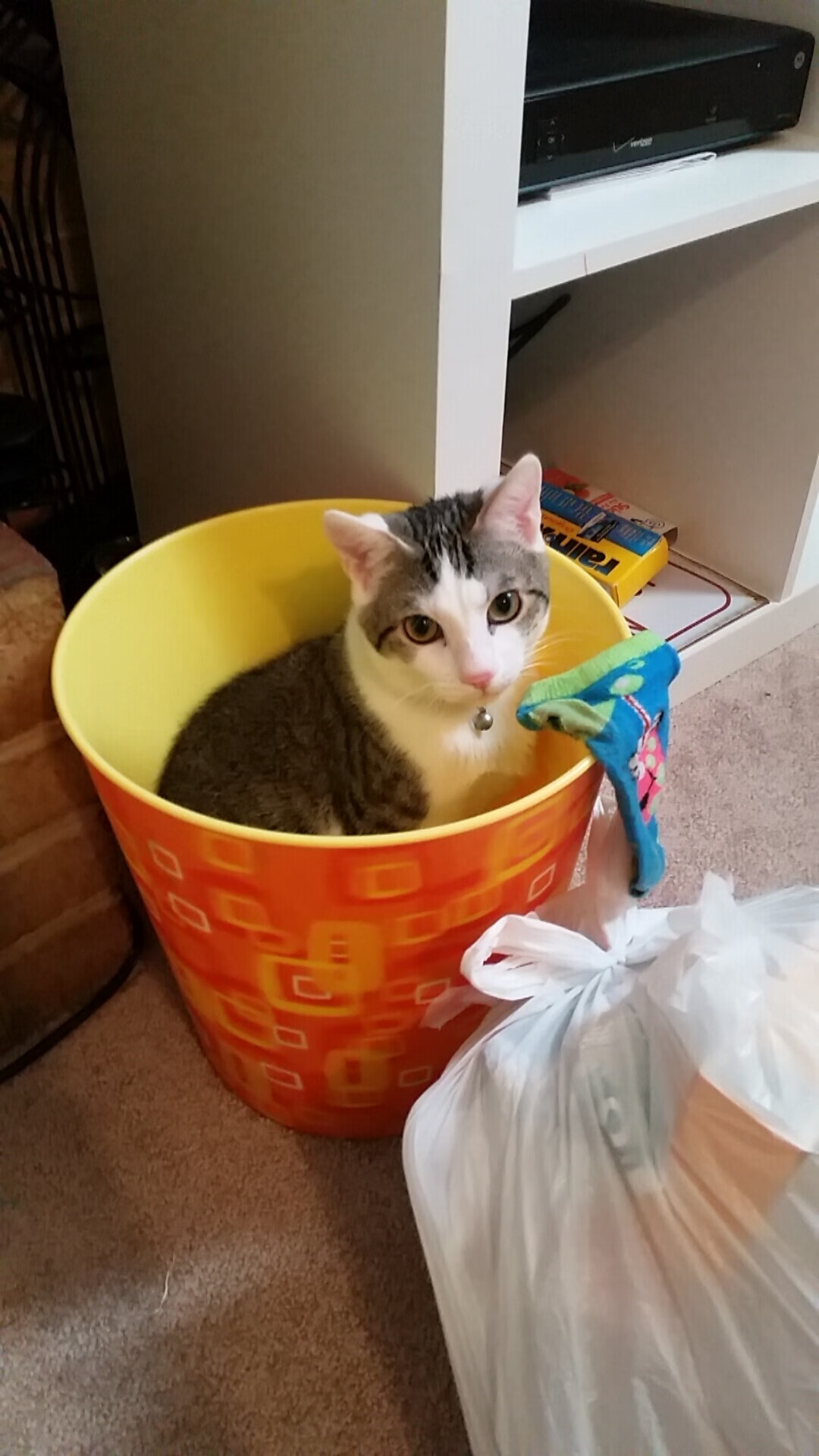 开yun体育-_未来运动科技博览会：开启智能运动新时代_，未来运动公园