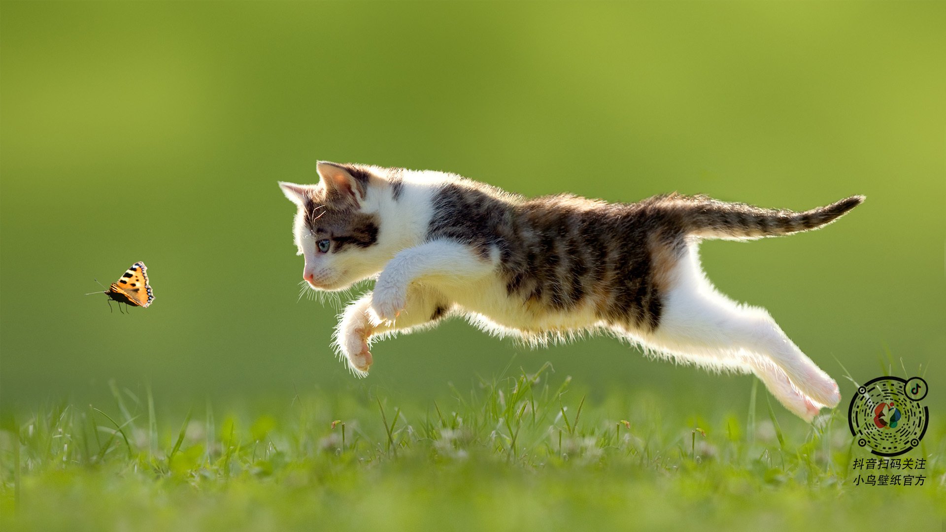 KAIYUNAPP-“青训营地引入虚拟仿真技术，训练效果显著提升”，虚拟训练系统