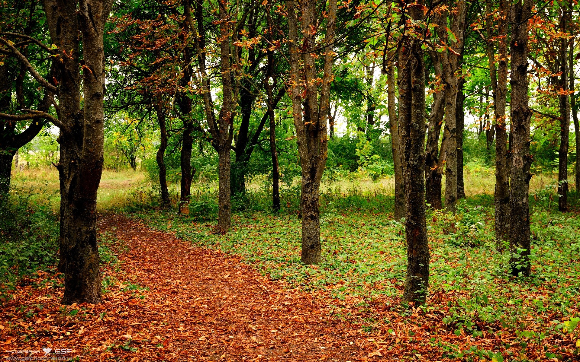 中国青少年篮球国际交流项目常态化，推动文化融合与合作，中国青少年篮球训练指导手册